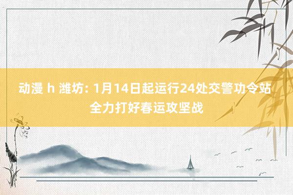 动漫 h 潍坊: 1月14日起运行24处交警功令站 全力打好春运攻坚战