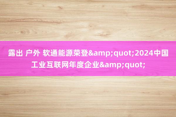 露出 户外 软通能源荣登&quot;2024中国工业互联网年度企业&quot;