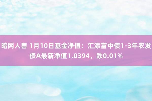 暗网人兽 1月10日基金净值：汇添富中债1-3年农发债A最新净值1.0394，跌0.01%