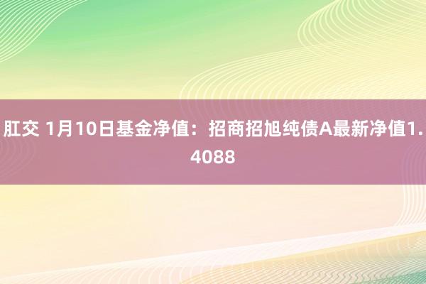 肛交 1月10日基金净值：招商招旭纯债A最新净值1.4088