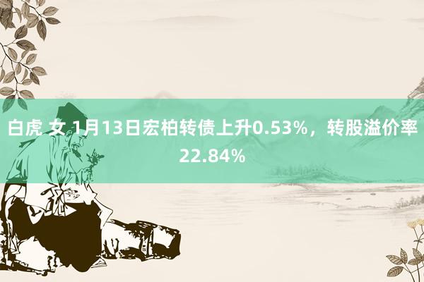 白虎 女 1月13日宏柏转债上升0.53%，转股溢价率22.84%