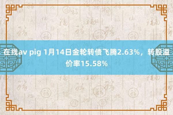 在线av pig 1月14日金轮转债飞腾2.63%，转股溢价率15.58%