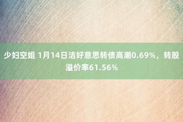 少妇空姐 1月14日洁好意思转债高潮0.69%，转股溢价率61.56%