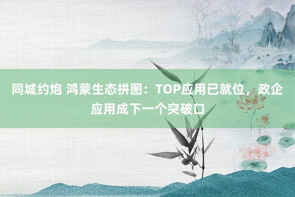 同城约炮 鸿蒙生态拼图：TOP应用已就位，政企应用成下一个突破口