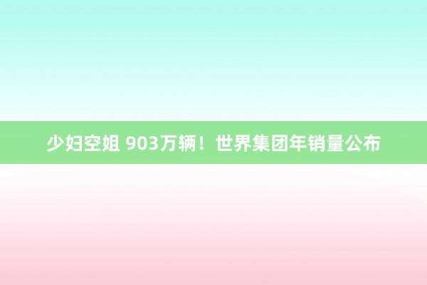 少妇空姐 903万辆！世界集团年销量公布